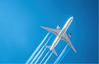 Flügel der Morgenröte