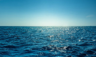 Meer