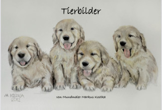 Tierbilder