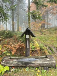 Wolfgangsbrünnlein